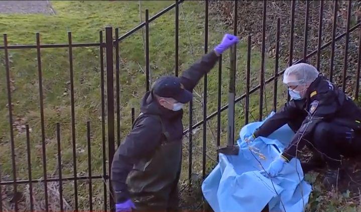 A fost găsit barosul cu care hoții tezaurului dacic au dat spargerea la muzeul Drents. Criminaliștii au intrat în mlaștină după el 948580