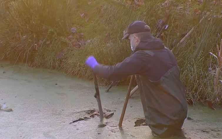 A fost găsit barosul cu care hoții tezaurului dacic au dat spargerea la muzeul Drents. Criminaliștii au intrat în mlaștină după el 948581