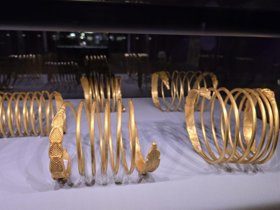 Aurul dacic a fost furat, dar cu Tezaurul de la Pietroasa peste care plouă în Muzeul Național de Istorie, ce facem?  948759