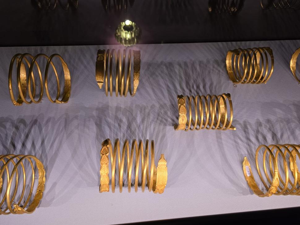 Aurul dacic a fost furat, dar cu Tezaurul de la Pietroasa peste care plouă în Muzeul Național de Istorie, ce facem?  948760