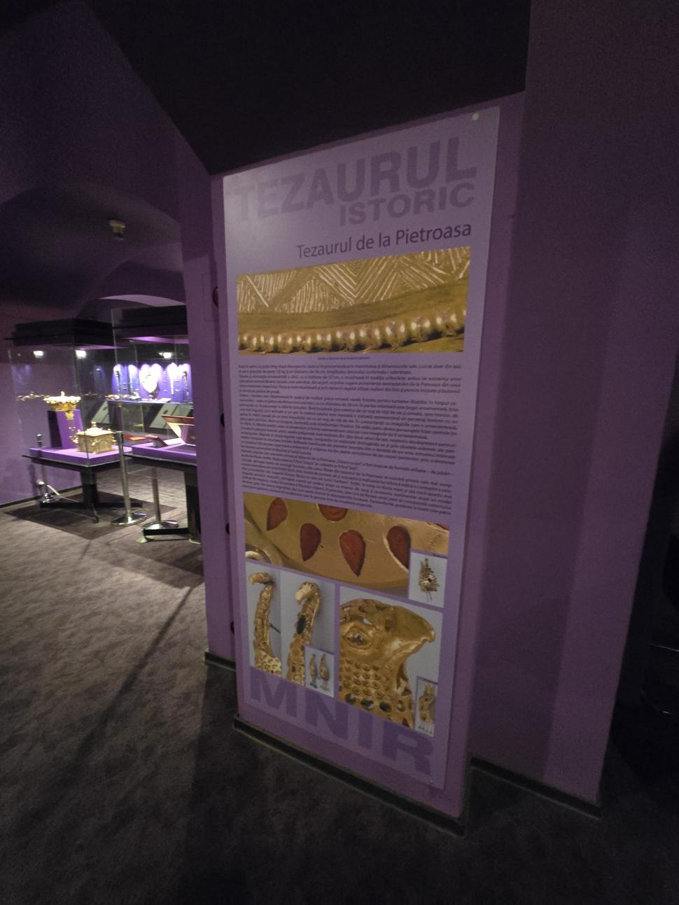 Aurul dacic a fost furat, dar cu Tezaurul de la Pietroasa peste care plouă în Muzeul Național de Istorie, ce facem?  948766