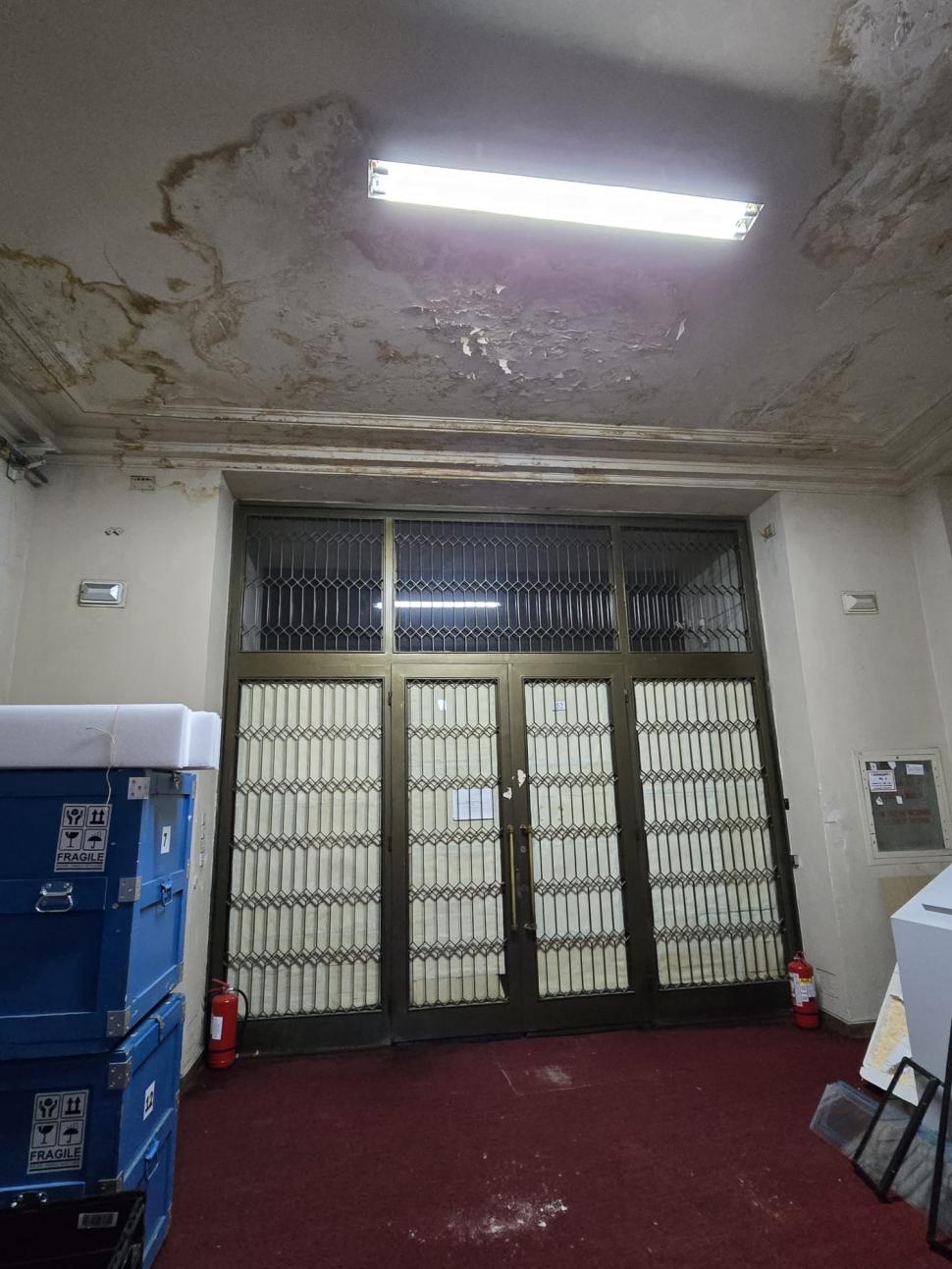 Aurul dacic a fost furat, dar cu Tezaurul de la Pietroasa peste care plouă în Muzeul Național de Istorie, ce facem?  948796