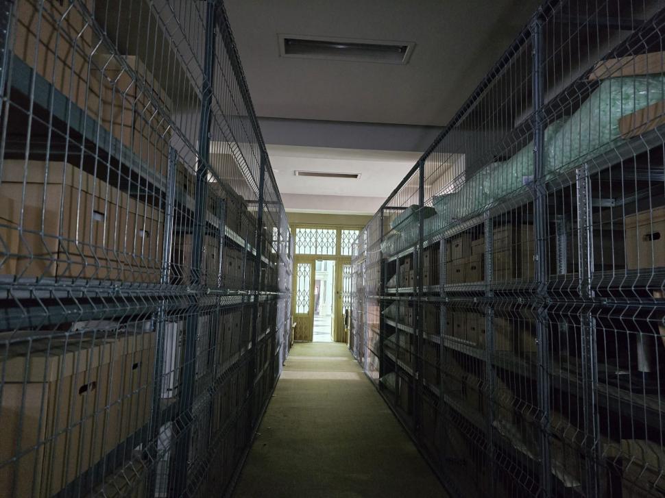 Aurul dacic a fost furat, dar cu Tezaurul de la Pietroasa peste care plouă în Muzeul Național de Istorie, ce facem?  948801