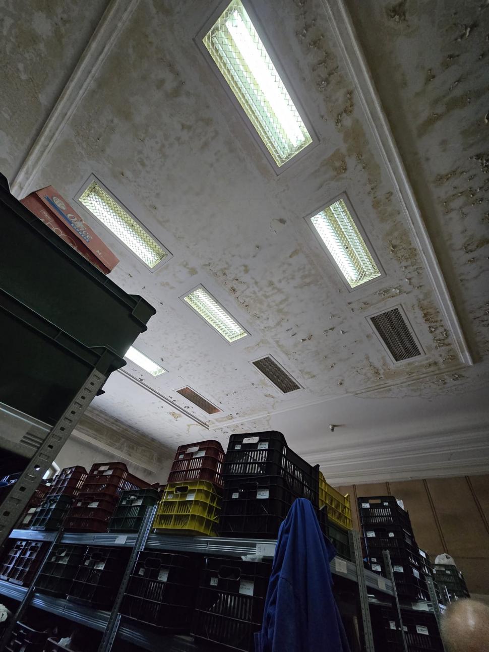 Aurul dacic a fost furat, dar cu Tezaurul de la Pietroasa peste care plouă în Muzeul Național de Istorie, ce facem?  948802