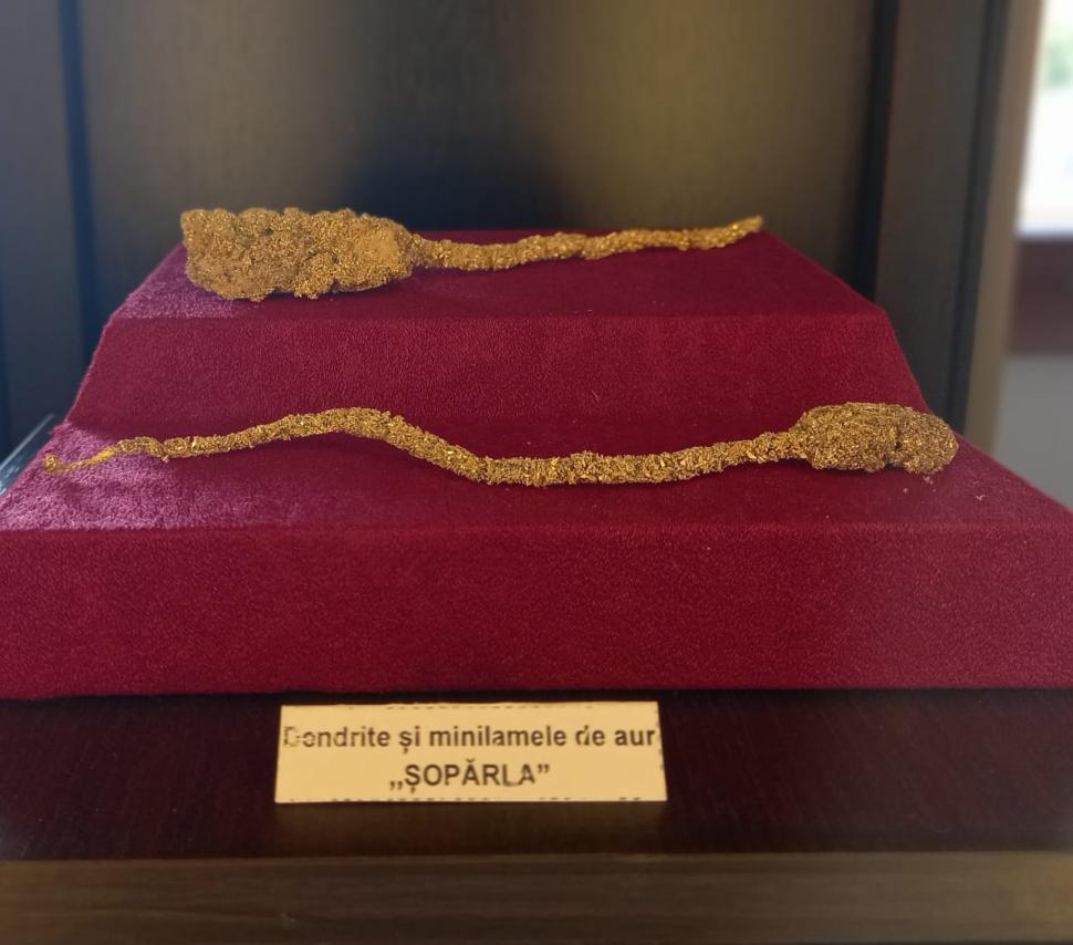 Muzeul Aurului Brad, cu peste 1.300 de exponate din aur, are paznici doar pe un schimb. Autorităţile cer sprijin de la Guvern 949261