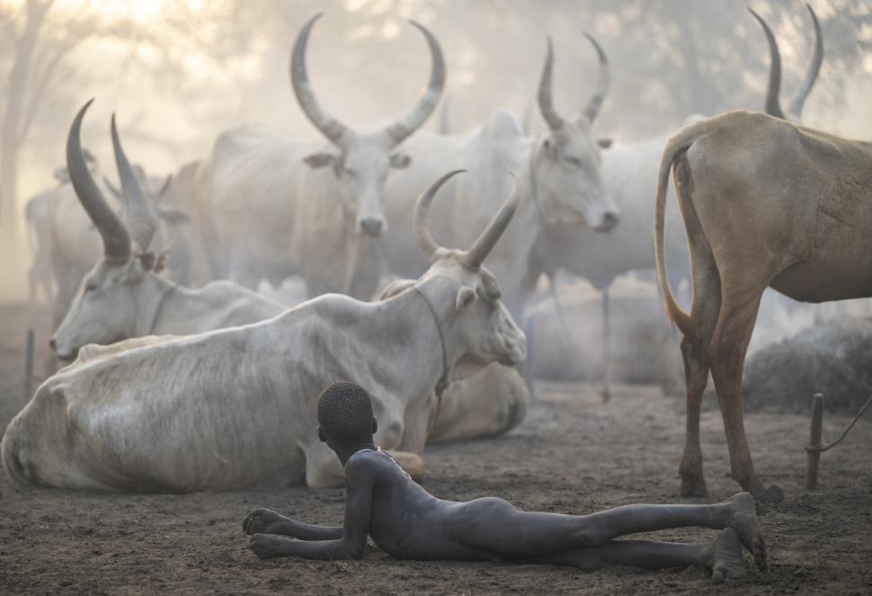 Un român de 18 ani, printre câștigătorii concursului Travel Photographer of the Year 2024. Cele mai frumoase imagini din competiție 949086