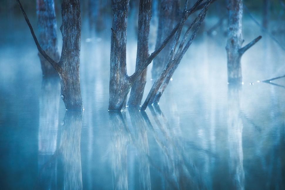Un român de 18 ani, printre câștigătorii concursului Travel Photographer of the Year 2024. Cele mai frumoase imagini din competiție 949090
