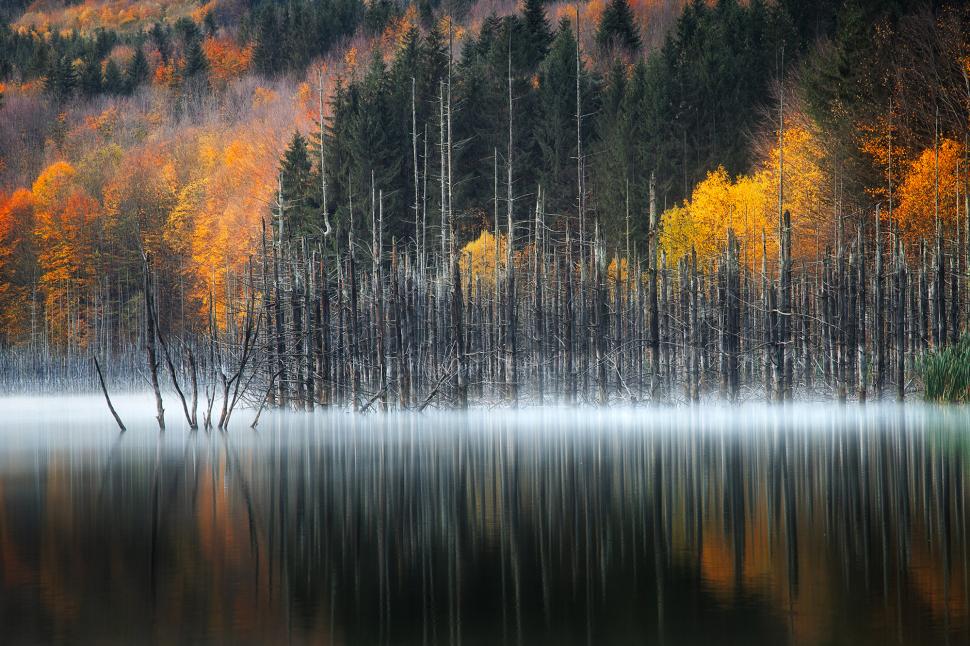 Un român de 18 ani, printre câștigătorii concursului Travel Photographer of the Year 2024. Cele mai frumoase imagini din competiție 949092