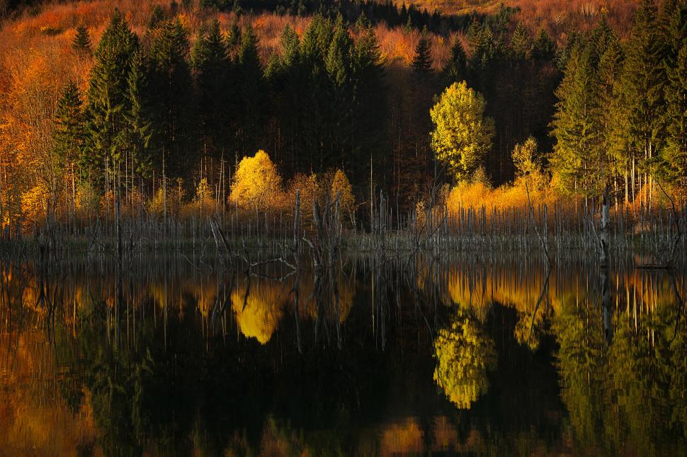 Un român de 18 ani, printre câștigătorii concursului Travel Photographer of the Year 2024. Cele mai frumoase imagini din competiție 949093