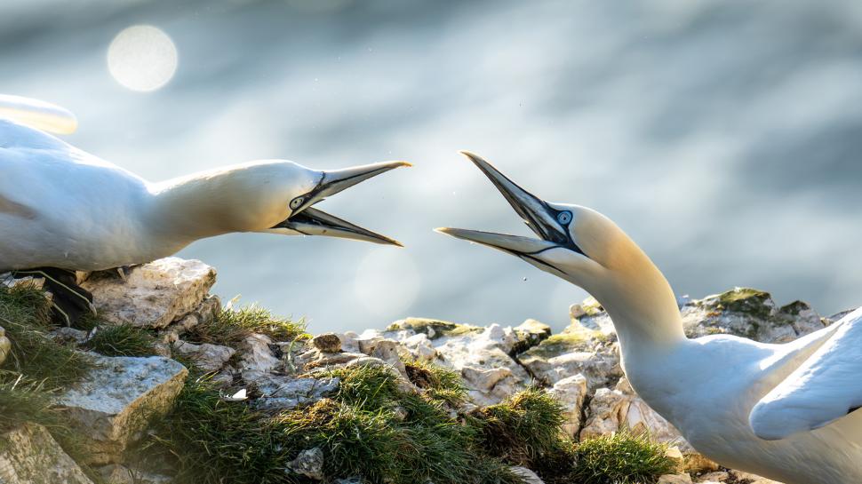 Un român de 18 ani, printre câștigătorii concursului Travel Photographer of the Year 2024. Cele mai frumoase imagini din competiție 949096