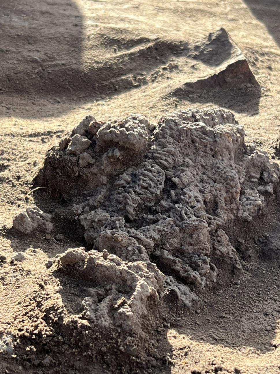 Descoperire arheologică „excepțional de rară”: Un coif roman, vechi de 1.500 de ani, a fost găsit în timpul lucrărilor la o autostradă 950012