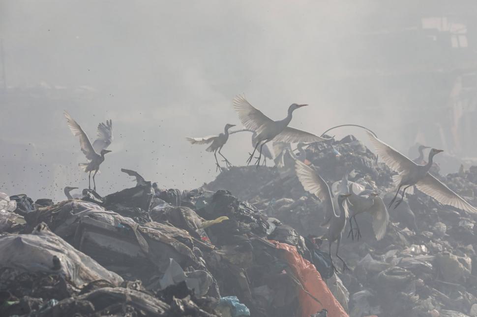 Cum arată acum Gaza pe care Trump zice că o face "Riviera Orientului Mijlociu". Ar fi nevoie de 350 de ani pentru reconstrucția zonei 950372