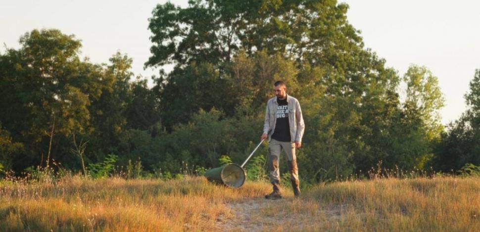 Cinci specii noi de coleoptere au fost descoperite în România 950621