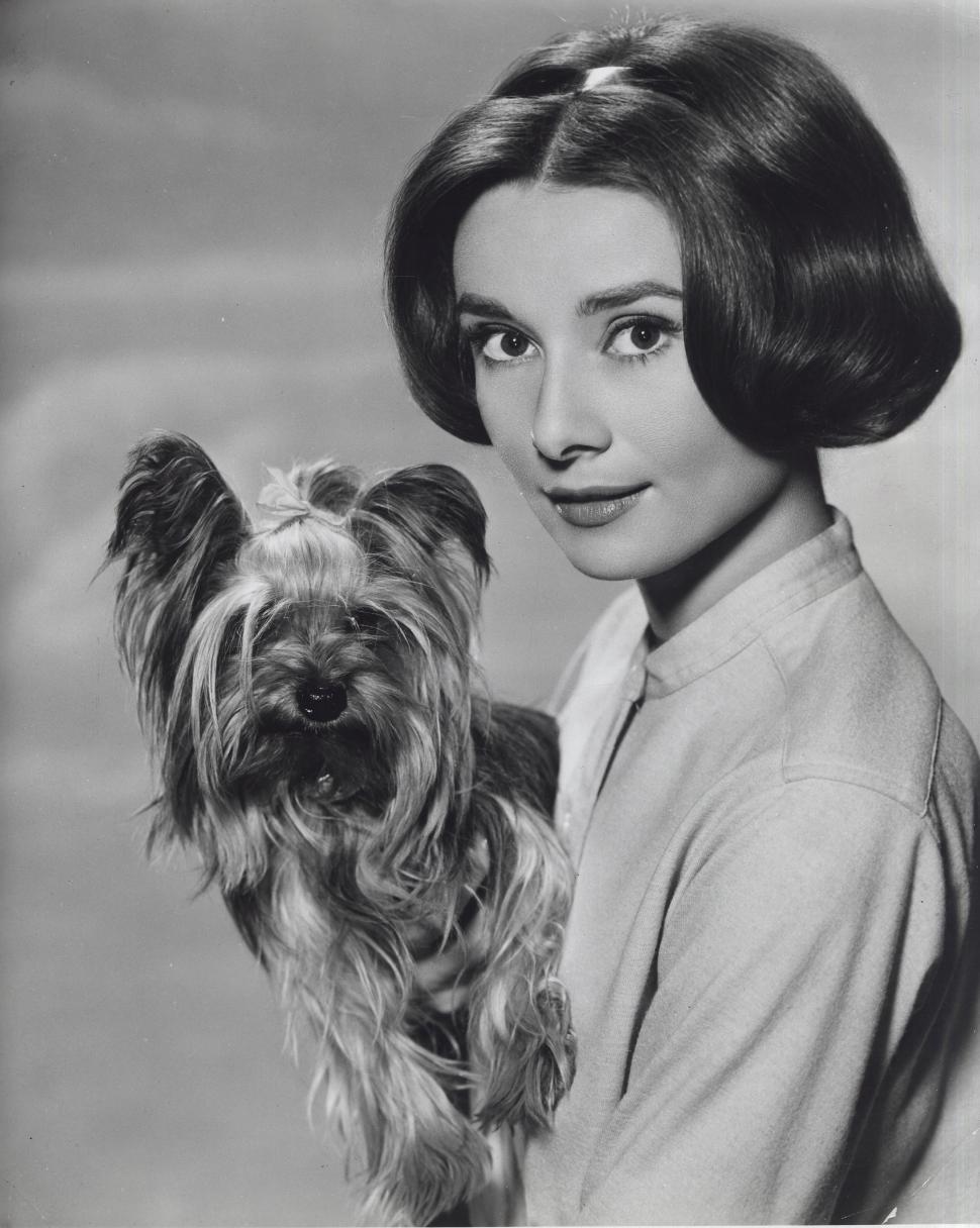 Vila elvețiană „La Paisible” a lui Audrey Hepburn a fost scoasă la vânzare. Proprietatea are 12 camere, 5 șemineuri, parc și piscină 950651