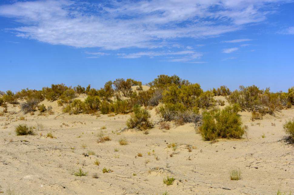 Marea care s-a transformat în deșert. Imagini incredibile cu locul în care cândva era unul dintre cele mai mari lacuri din lume 950604