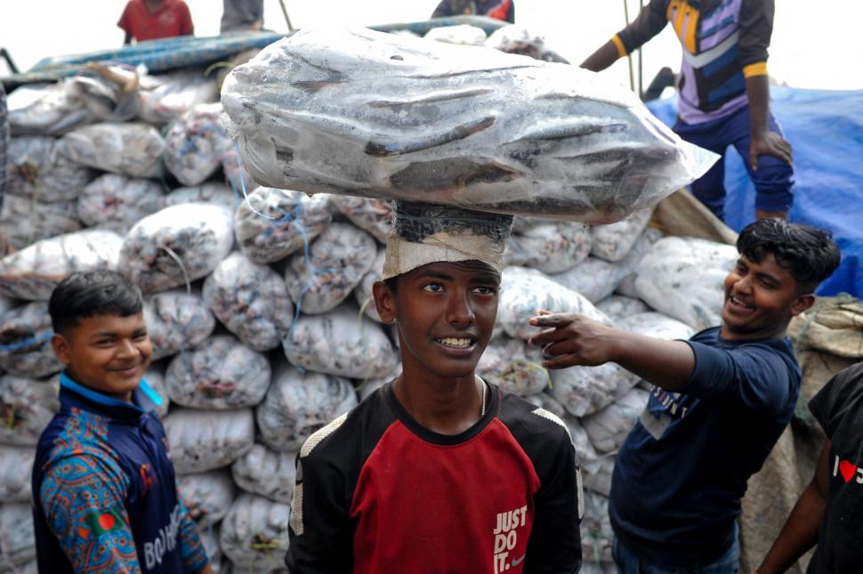 "Așa arată lupta pentru supraviețuire". Imagini incredibile surprinse pe un râu acoperit de un covor dens de alge 951038