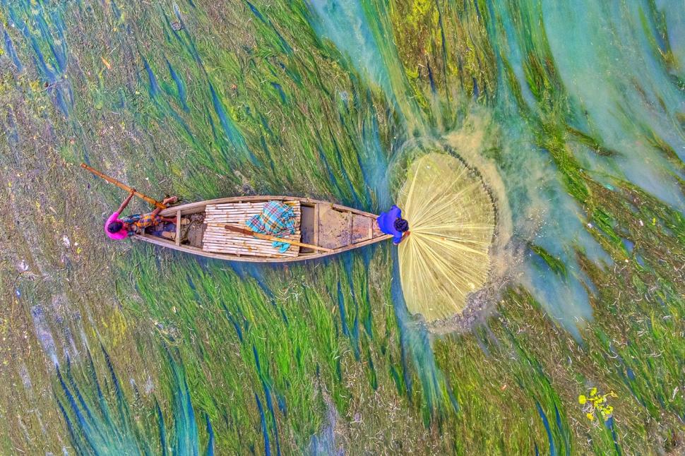 "Așa arată lupta pentru supraviețuire". Imagini incredibile surprinse pe un râu acoperit de un covor dens de alge 951039