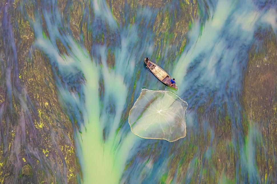 "Așa arată lupta pentru supraviețuire". Imagini incredibile surprinse pe un râu acoperit de un covor dens de alge 951040