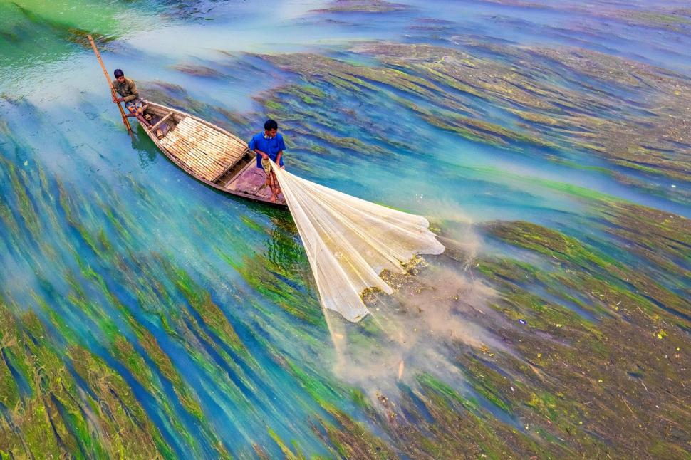 "Așa arată lupta pentru supraviețuire". Imagini incredibile surprinse pe un râu acoperit de un covor dens de alge 951041