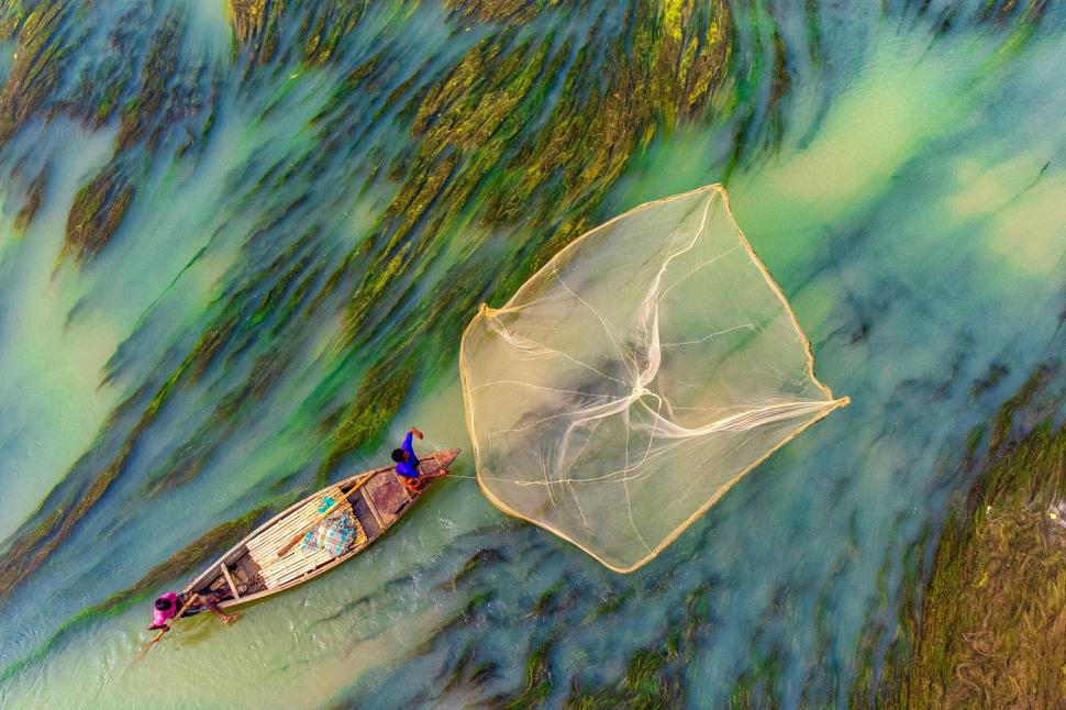 "Așa arată lupta pentru supraviețuire". Imagini incredibile surprinse pe un râu acoperit de un covor dens de alge 951042