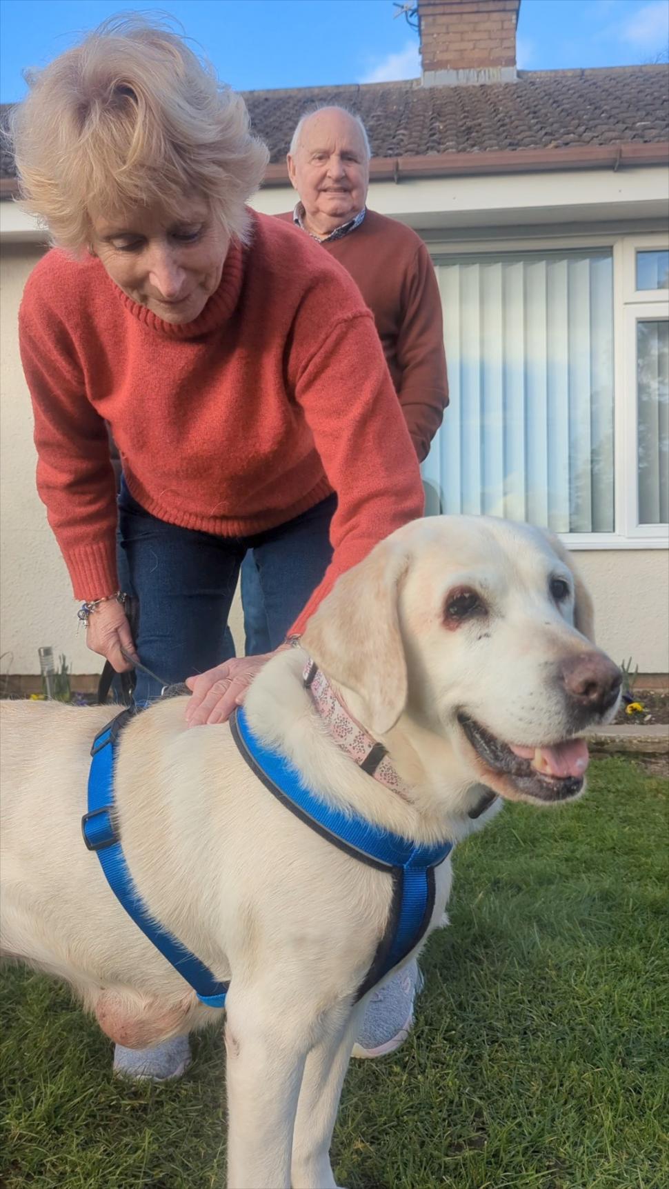 Un cuplu și-a primit înapoi labradorul furat în urmă cu șapte ani. Imagini emoționante de la reîntâlnirea cu Daisy  951101