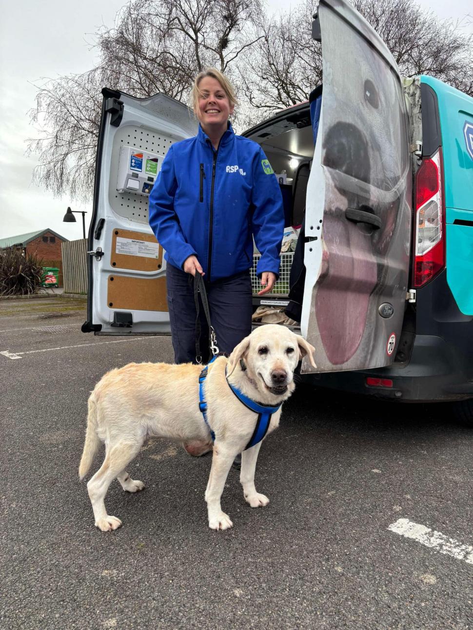 Un cuplu și-a primit înapoi labradorul furat în urmă cu șapte ani. Imagini emoționante de la reîntâlnirea cu Daisy  951104