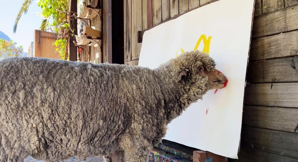 Oaia care pictează a dispărut, iar stăpâna ei oferă recompensă de 50.000 $. Baanksy a învățat să deseneze de la Pigcasso, un porc 952015