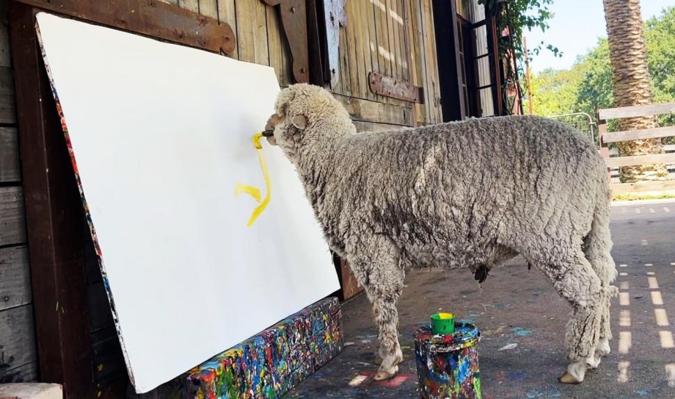 Oaia care pictează a dispărut, iar stăpâna ei oferă recompensă de 50.000 $. Baanksy a învățat să deseneze de la Pigcasso, un porc 952020