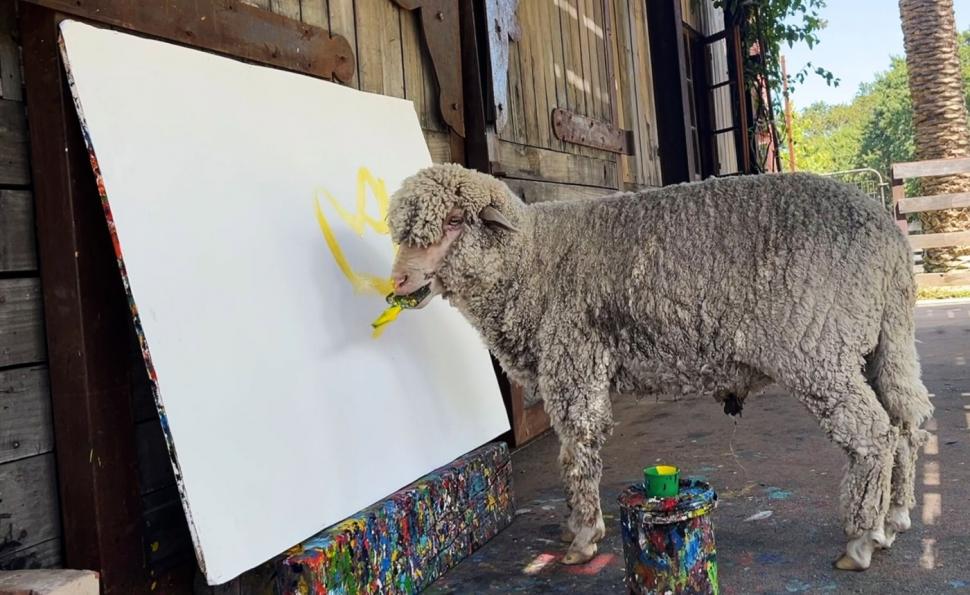 Oaia care pictează a dispărut, iar stăpâna ei oferă recompensă de 50.000 $. Baanksy a învățat să deseneze de la Pigcasso, un porc 952021