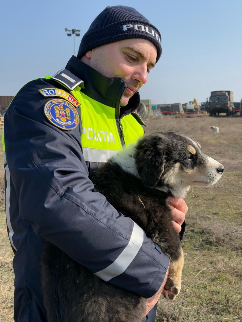 Un soldat britanic a salvat 4 cățeluși, în timpul unui exercițiu militar pe Poligonul Smârdan din Galați. Apoi a decis să-i adopte 952360