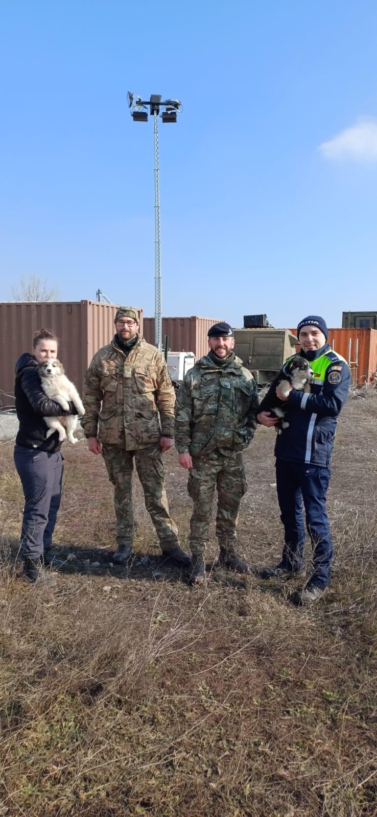 Un soldat britanic a salvat 4 cățeluși, în timpul unui exercițiu militar pe Poligonul Smârdan din Galați. Apoi a decis să-i adopte 952364
