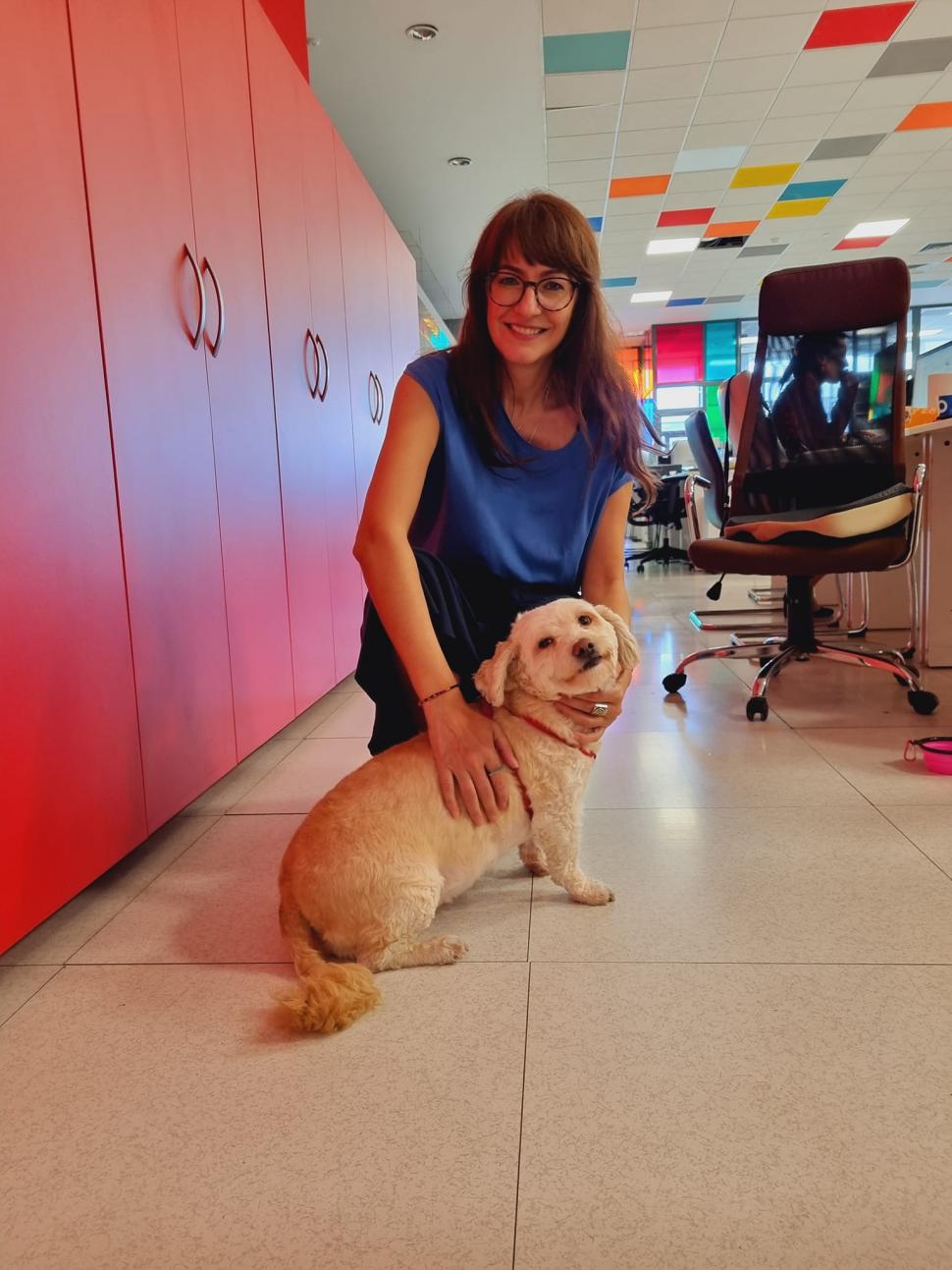 Pisicile care ştiu tot ce mişcă-n Capitală: Colonelu` de la Rutieră, Şefa de la Primărie, Willy și Steluța de la CJ Ilfov 952251