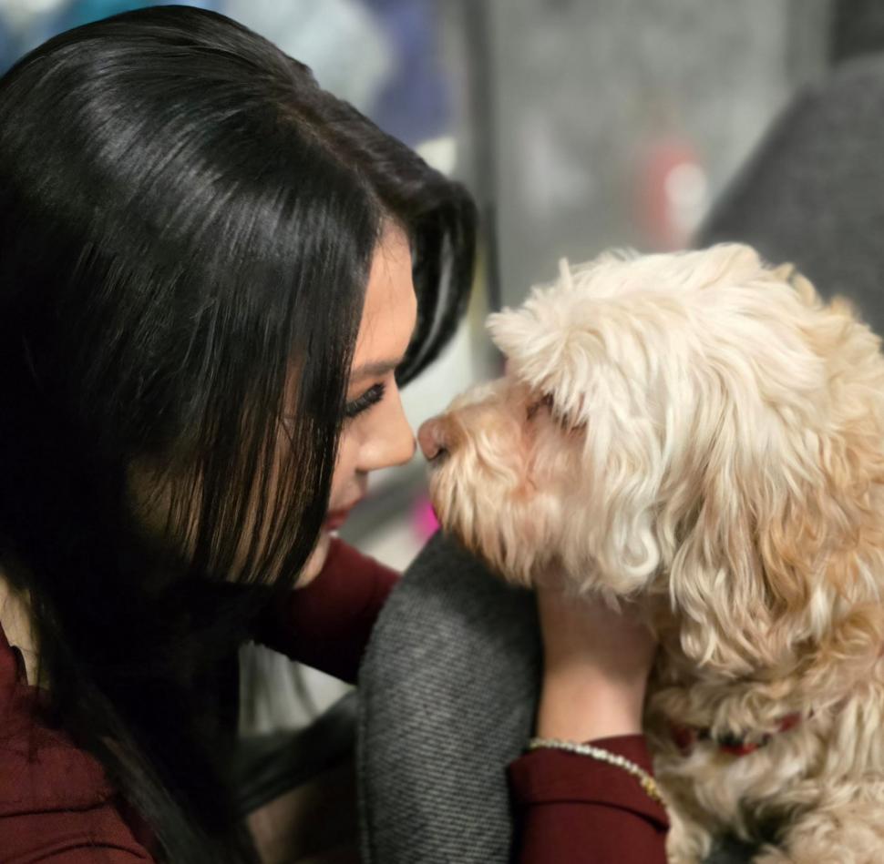 Pisicile care ştiu tot ce mişcă-n Capitală: Colonelu` de la Rutieră, Şefa de la Primărie, Willy și Steluța de la CJ Ilfov 952252