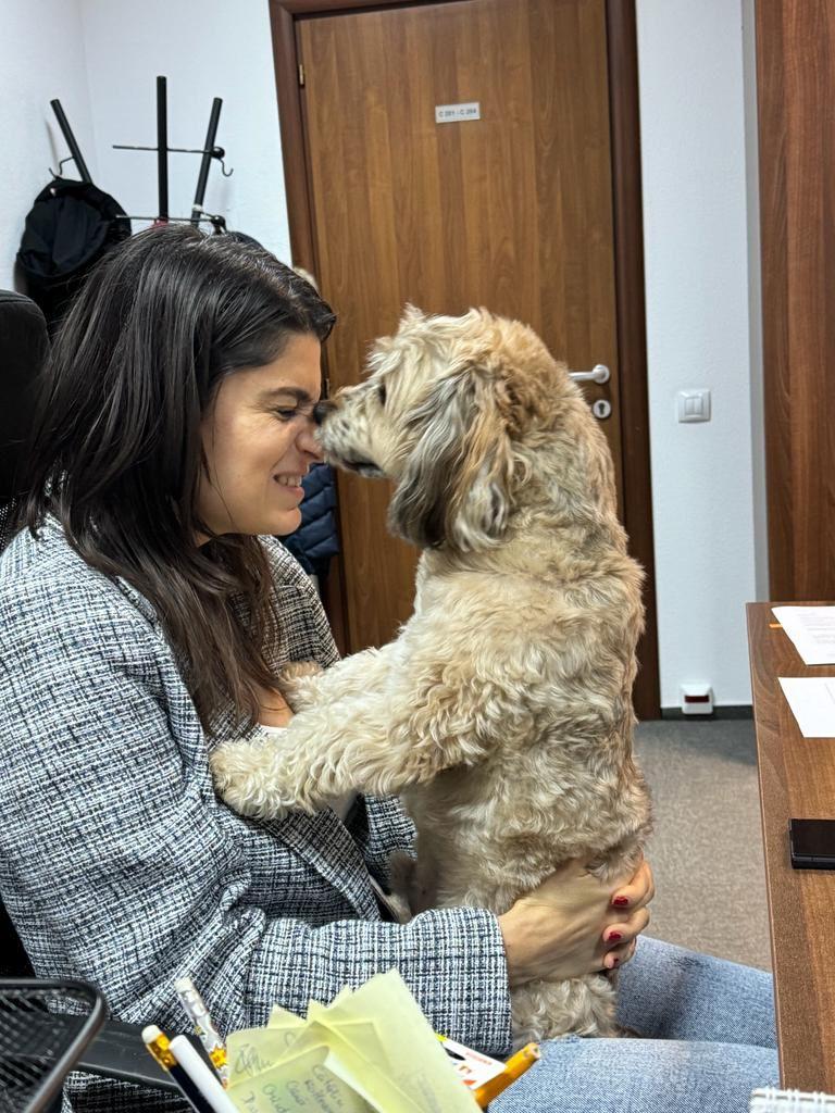 Pisicile care ştiu tot ce mişcă-n Capitală: Colonelu` de la Rutieră, Şefa de la Primărie, Willy și Steluța de la CJ Ilfov 952258