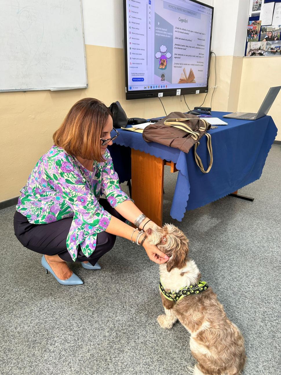 Pisicile care ştiu tot ce mişcă-n Capitală: Colonelu` de la Rutieră, Şefa de la Primărie, Willy și Steluța de la CJ Ilfov 952274