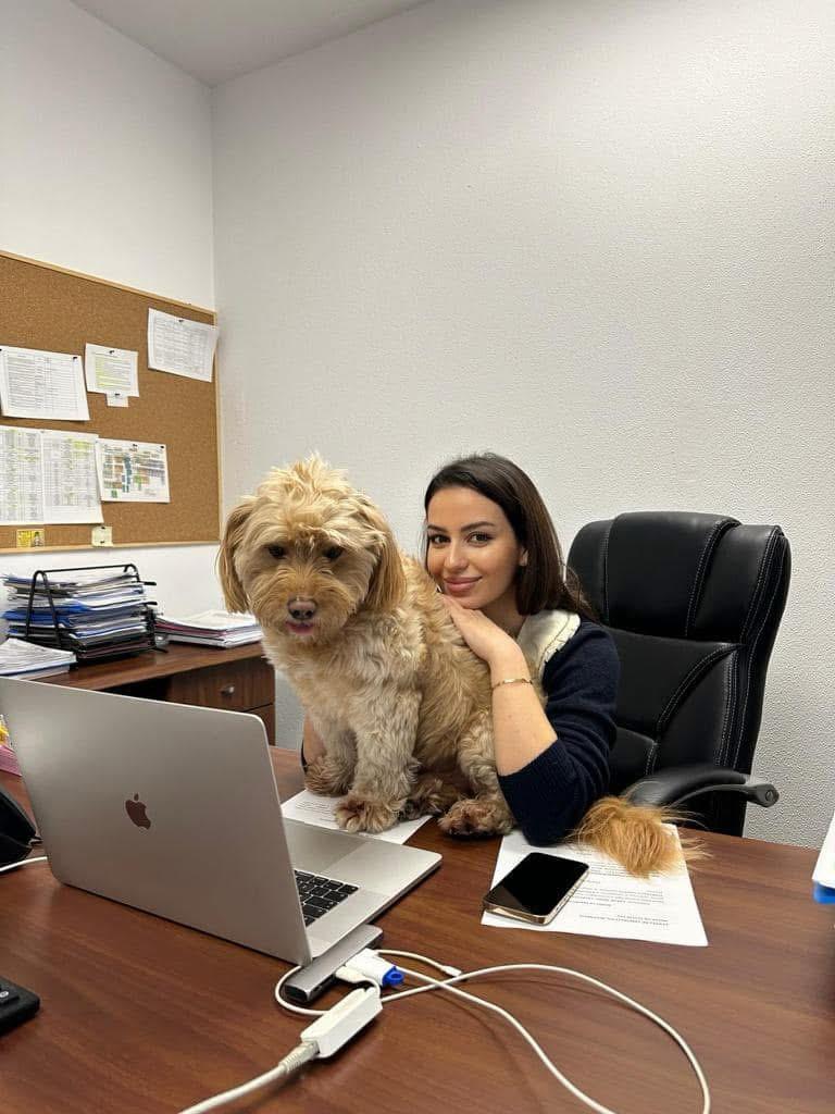 Pisicile care ştiu tot ce mişcă-n Capitală: Colonelu` de la Rutieră, Şefa de la Primărie, Willy și Steluța de la CJ Ilfov 952277