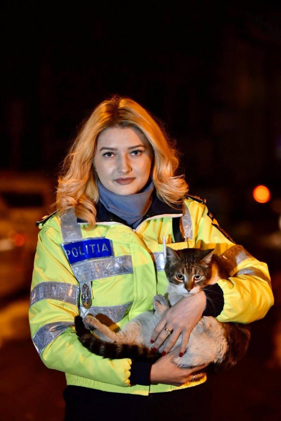 Pisicile care ştiu tot ce mişcă-n Capitală: Colonelu` de la Rutieră, Şefa de la Primărie, Willy și Steluța de la CJ Ilfov 952285