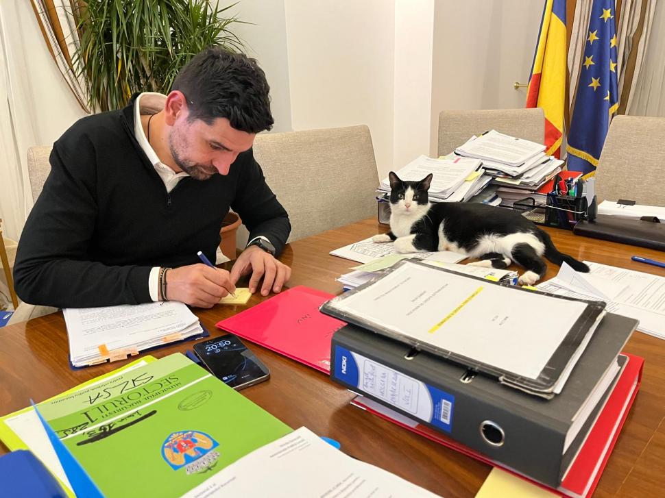 Pisicile care ştiu tot ce mişcă-n Capitală: Colonelu` de la Rutieră, Şefa de la Primărie, Willy și Steluța de la CJ Ilfov 952292