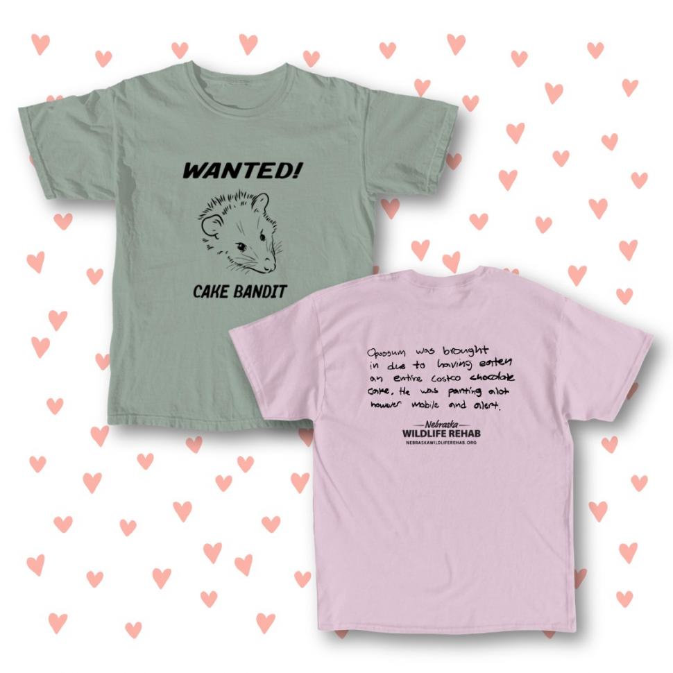 „Banditul tortului”, viral pe internet: Un oposum s-a furișat într-o casă și a mâncat o prăjitură întreagă, apoi i s-a făcut rău 952520