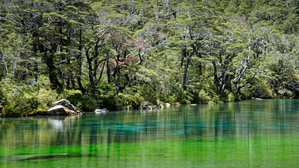 De ce turiștii trebuie să-și spele pantofii înainte de a ajunge la „cel mai limpede lac din lume” 952707
