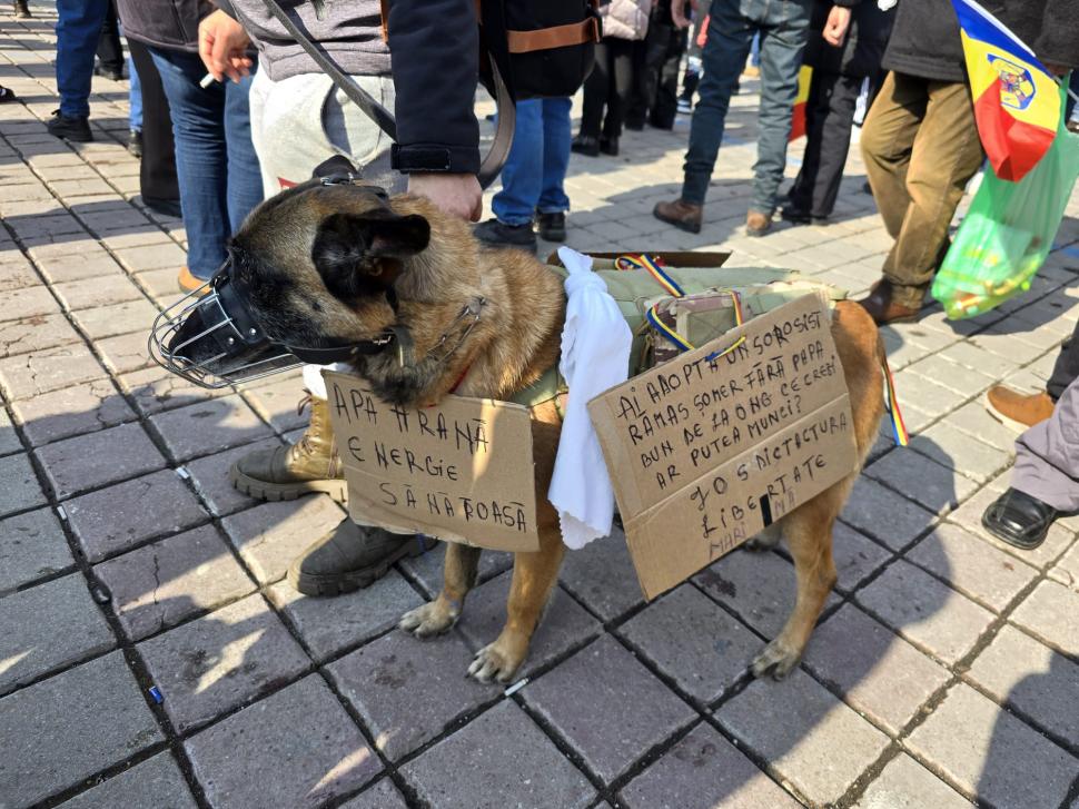 Cum a fost la protestul pro-Georgescu: ”Hai să adunăm zăpada de pe jos, să o punem în buzunare. Președintele merită să facem asta” 953736