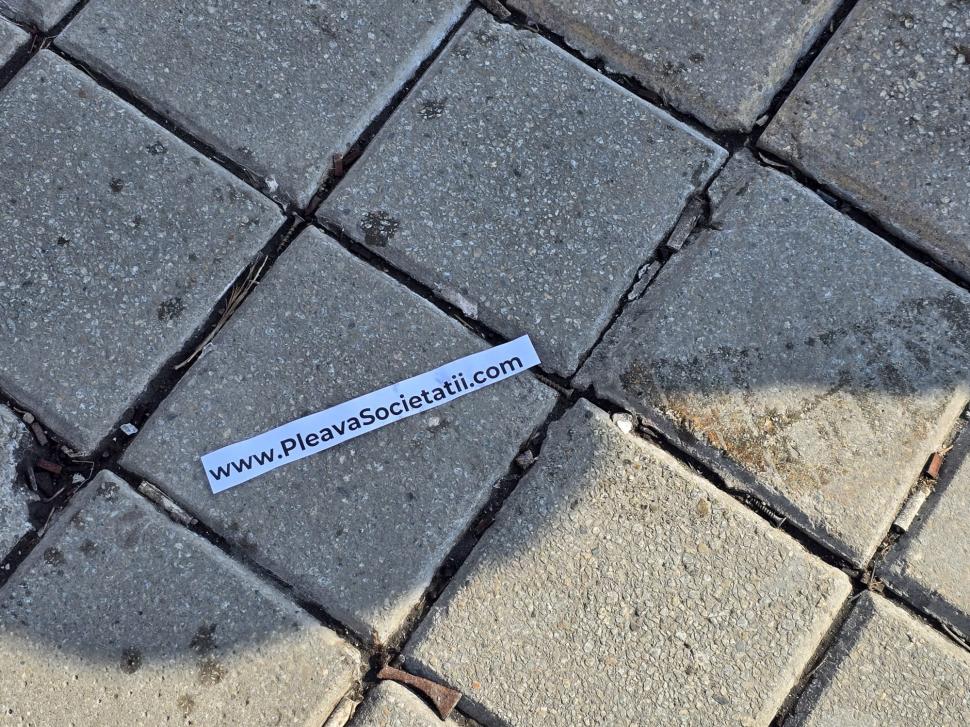 Cum a fost la protestul pro-Georgescu: ”Hai să adunăm zăpada de pe jos, să o punem în buzunare. Președintele merită să facem asta” 953737