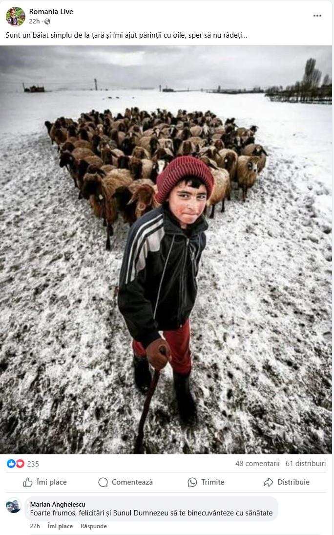 Am scris acest articol și nimeni nu apreciază. De ce suntem bombardați de poze create cu AI pe Facebook 953006