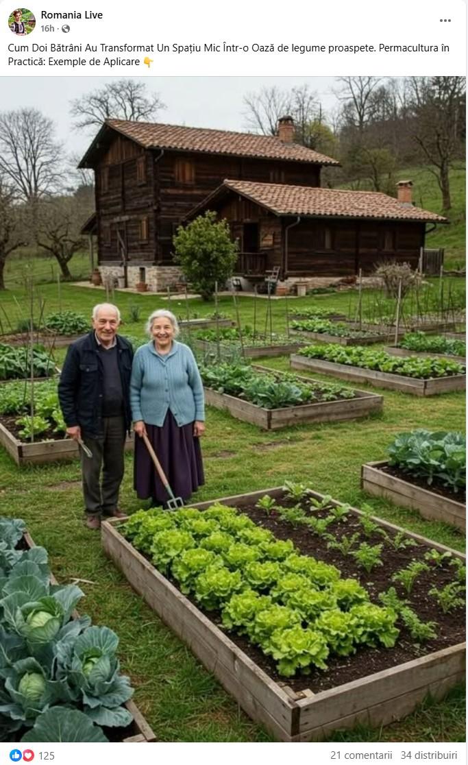 Am scris acest articol și nimeni nu apreciază. De ce suntem bombardați de poze create cu AI pe Facebook 953009