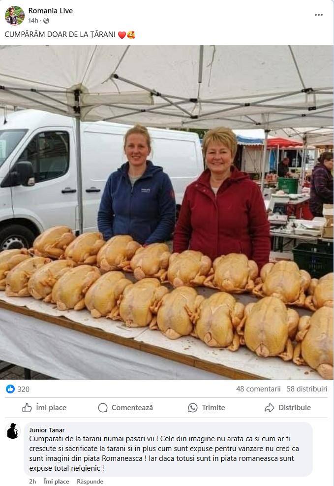 Am scris acest articol și nimeni nu apreciază. De ce suntem bombardați de poze create cu AI pe Facebook 953010