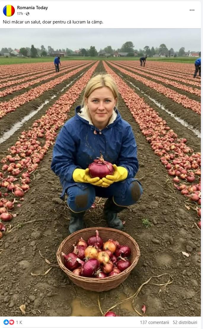 Am scris acest articol și nimeni nu apreciază. De ce suntem bombardați de poze create cu AI pe Facebook 953014