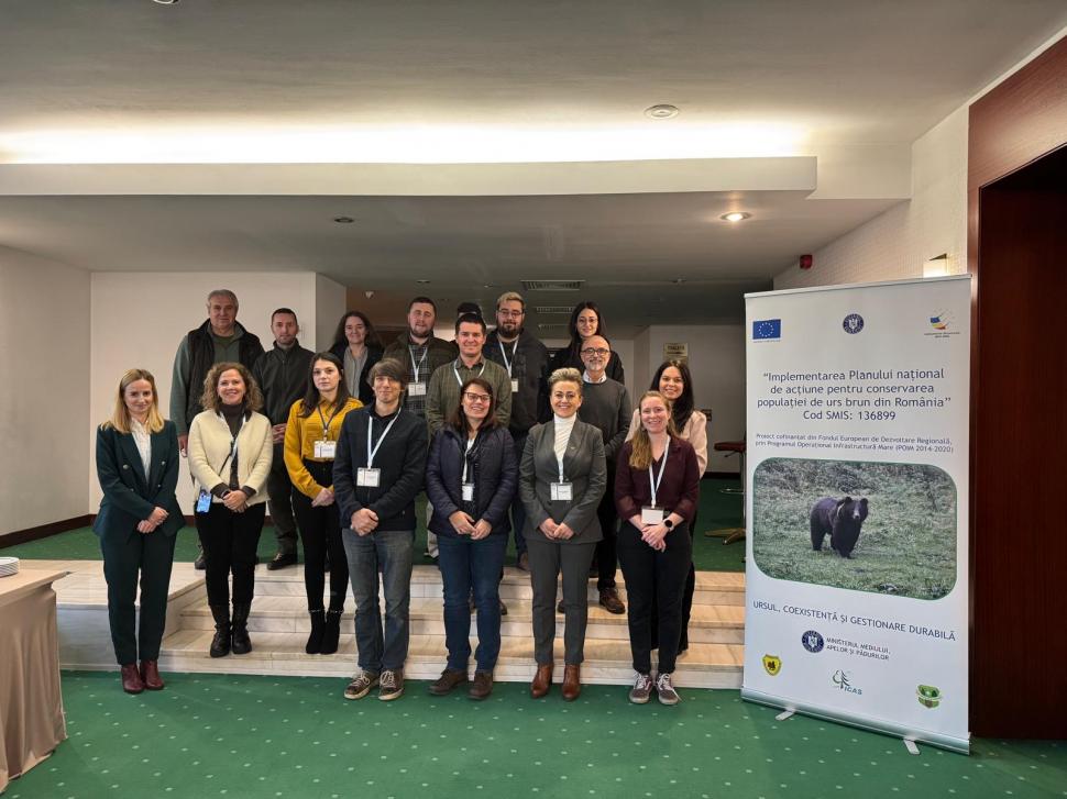 Monitorizarea genetică a populației de urs brun din Carpați, temă pentru cercetătorii europeni 954572