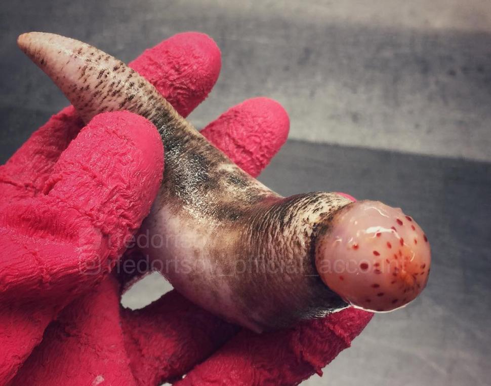 Un pescar a prins un pește cu un aspect terifiant. Imaginile s-au viralizat, iar oamenii au comparat creatura cu un extraterestru 954527