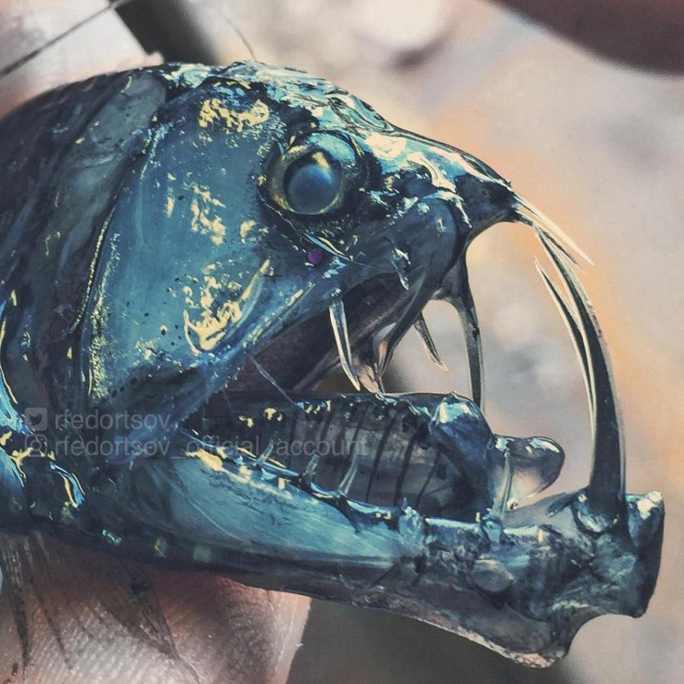 Un pescar a prins un pește cu un aspect terifiant. Imaginile s-au viralizat, iar oamenii au comparat creatura cu un extraterestru 954529