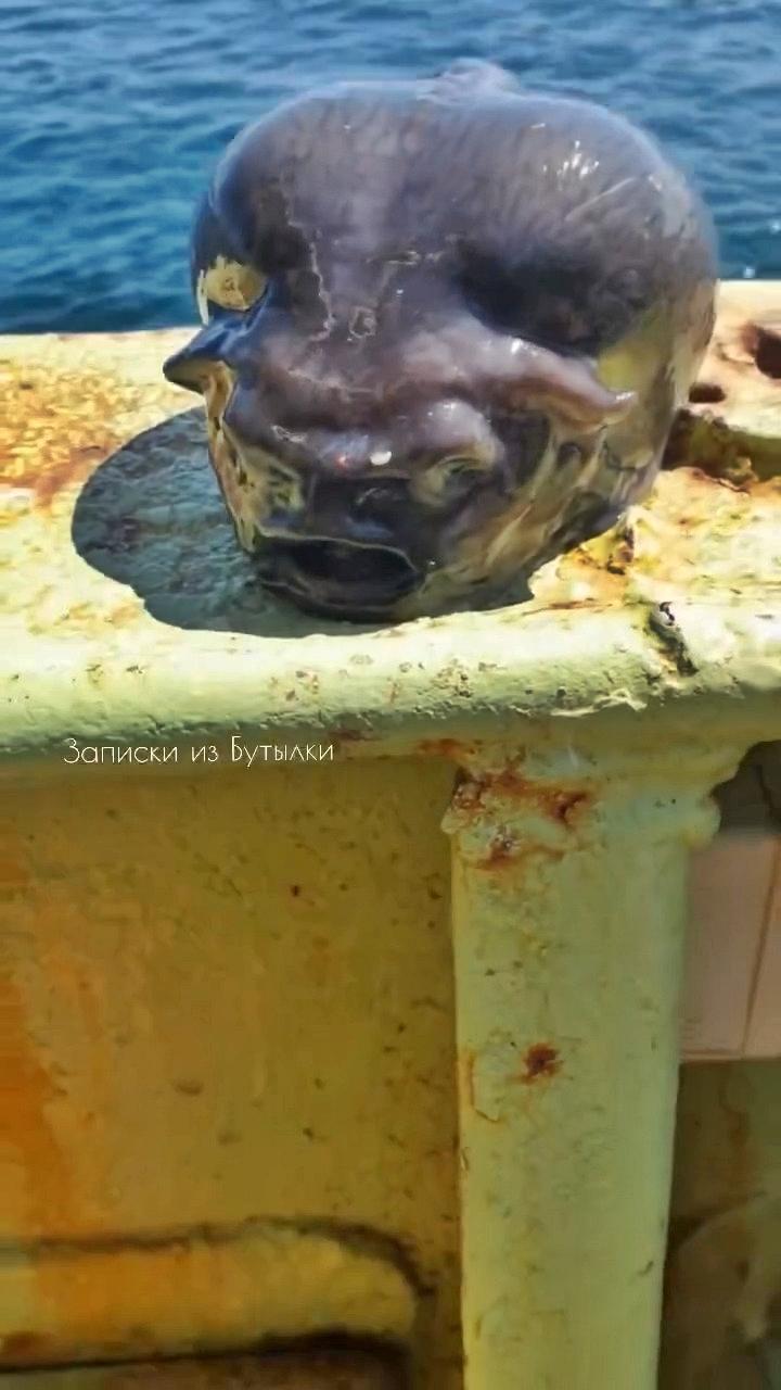 Un pescar a prins un pește cu un aspect terifiant. Imaginile s-au viralizat, iar oamenii au comparat creatura cu un extraterestru 954538